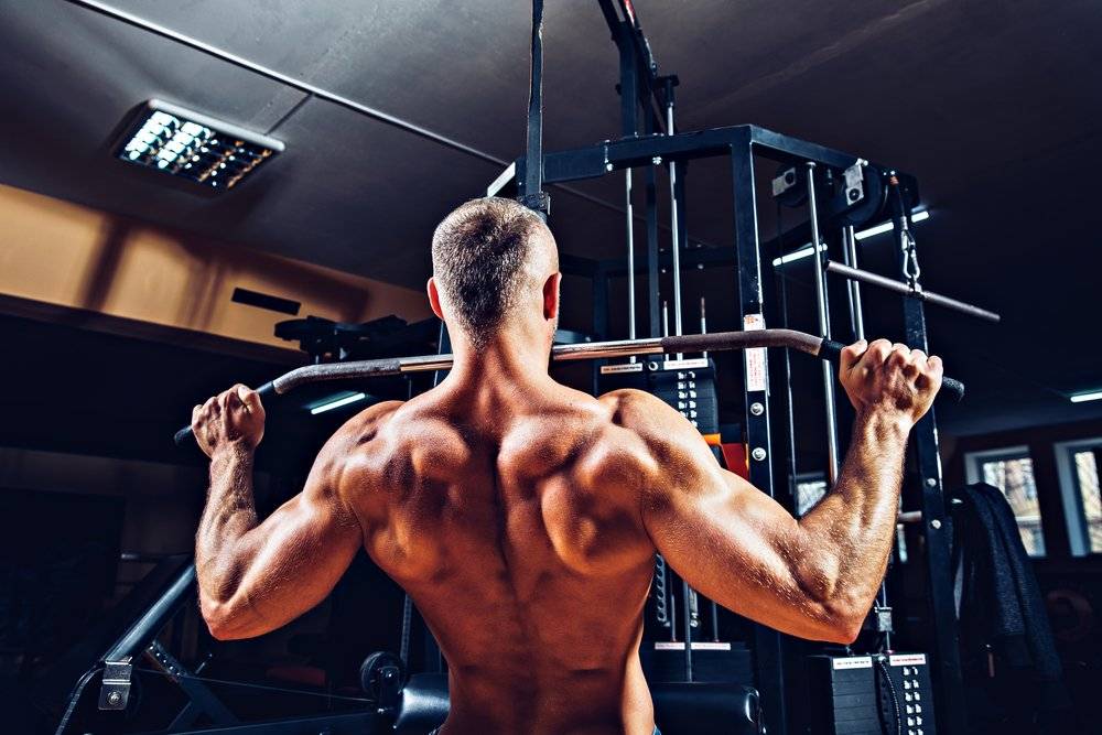 Спорт это лучшие упражнения для развития мощной спины