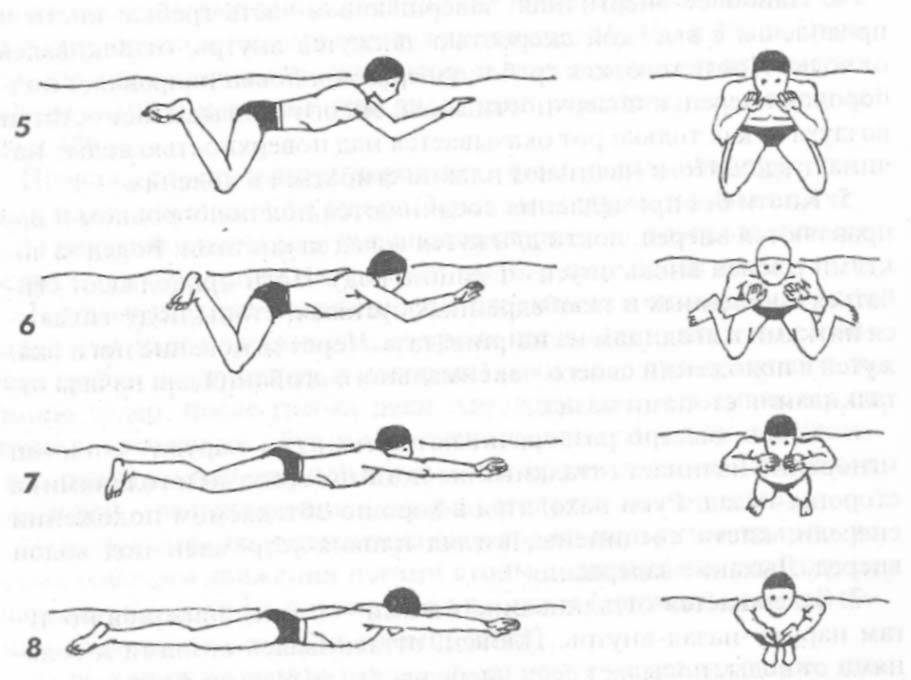 Техника плавания баттерфляем для начинающих - как правильно плавать дельфином, движения ног и рук, особенности стиля