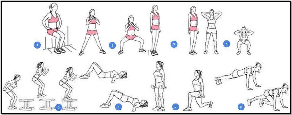 Упражнения для ног (топ-30): для тренировок в зале и домашних условиях