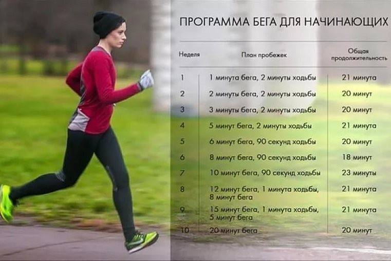 Как правильно заниматься на беговой дорожке, чтобы похудеть?. интернет-магазин fitnesslook.ru