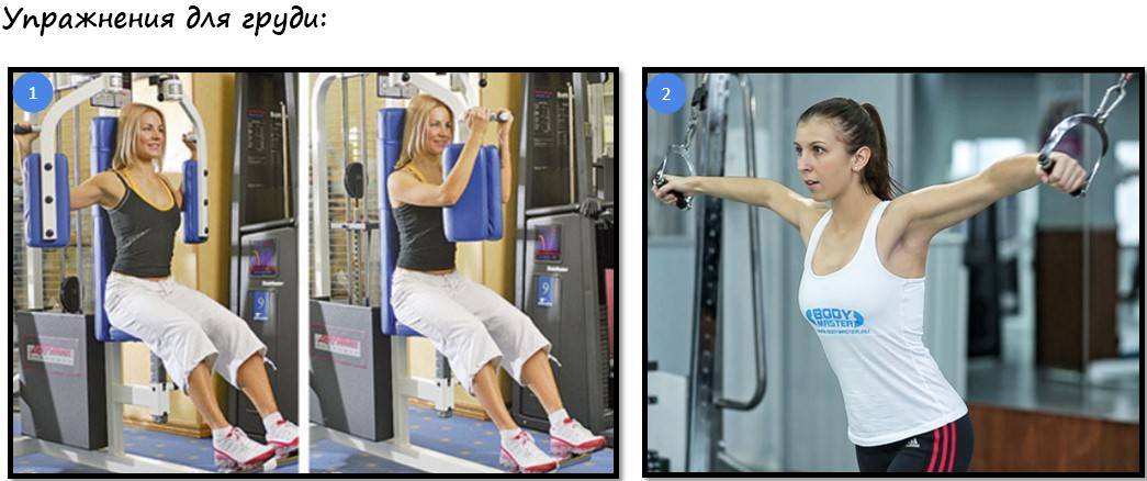 Тренировочный план для женщин, часть №3: грудь. • bodybuilding & fitness