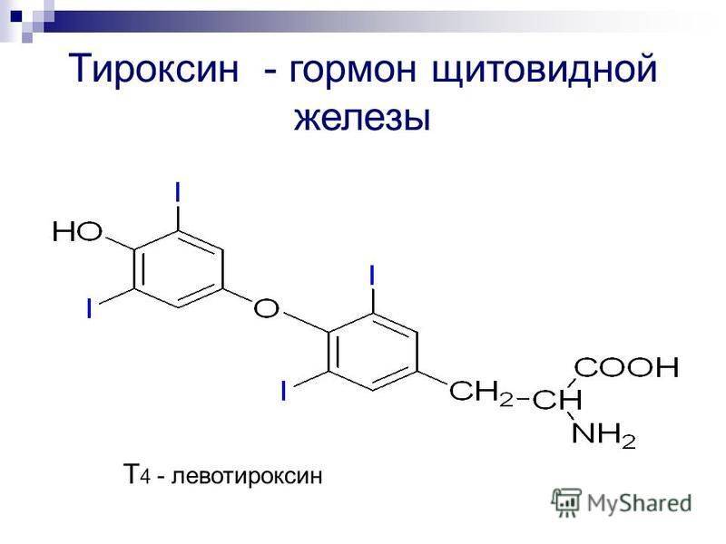 Гормон роста и гормоны щитовидной. Тироксин формула биохимия. Тироксин строение формула. Тироксин формула химическая. Тироксин химическая структура.