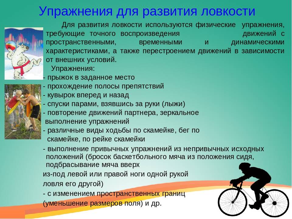 Ловкость: как развить, какие упражнения выполнять, в каких видах спорта необходима