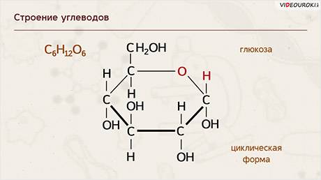 Структура углеводов. Углеводы состав и строение. Строение углеводов рисунок. Химическое строение углеводов. Структурное строение углеводов.