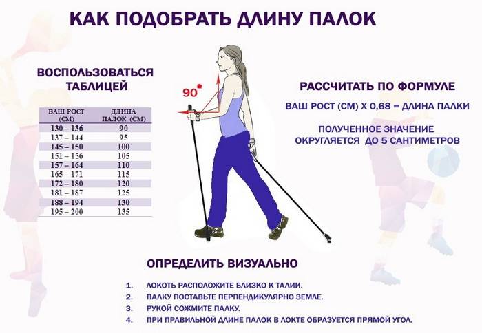 Как выбрать палки для скандинавской ходьбы – правила, размер, длина, высота, складные, телескопические, рейтинг, сколько стоят?