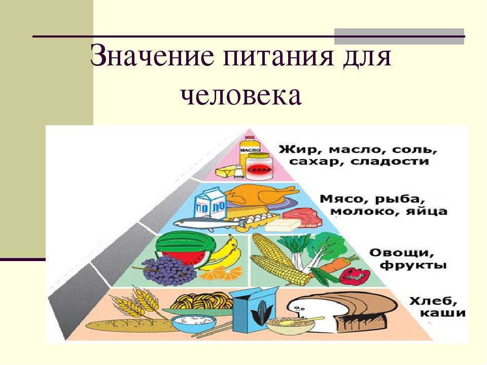 Прайм-тест на пищевую непереносимость: как продукты влияют на здоровье - сибирский медицинский портал