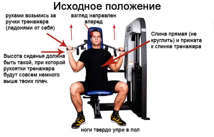 Жим ногами в тренажере сидя и лежа: постановка ног на платформе, как правильно делать упражнение
