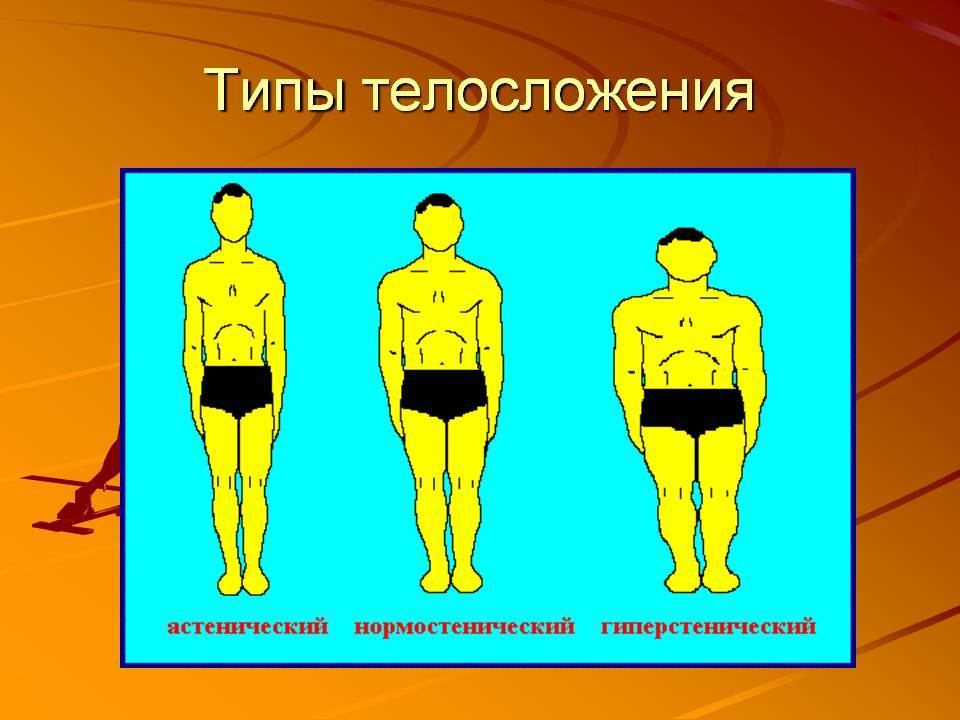 Как определить тип телосложения? (3 метода, отзывы)