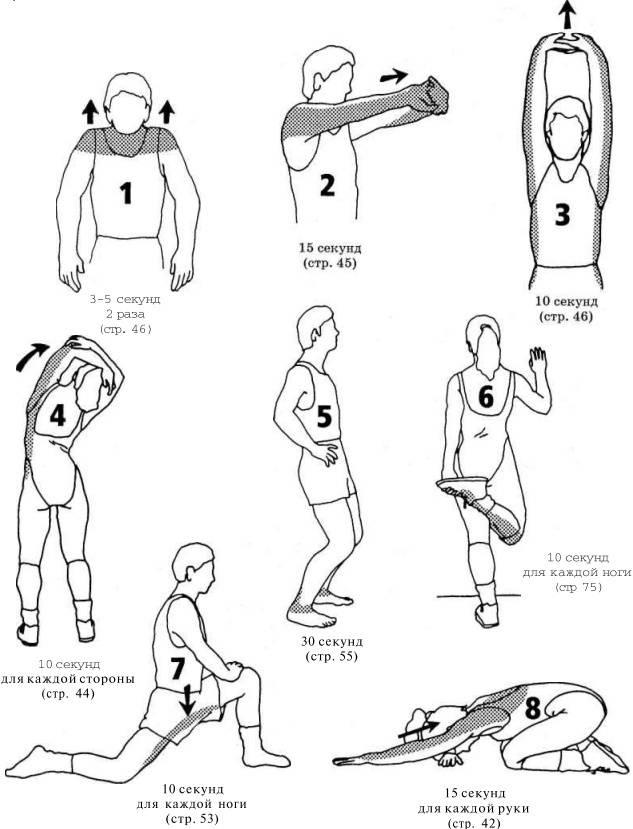 Разминка перед тренировкой дома: как размяться правильно, упражнения на разогрев мышц для мужчин, девушек и пожилых людей