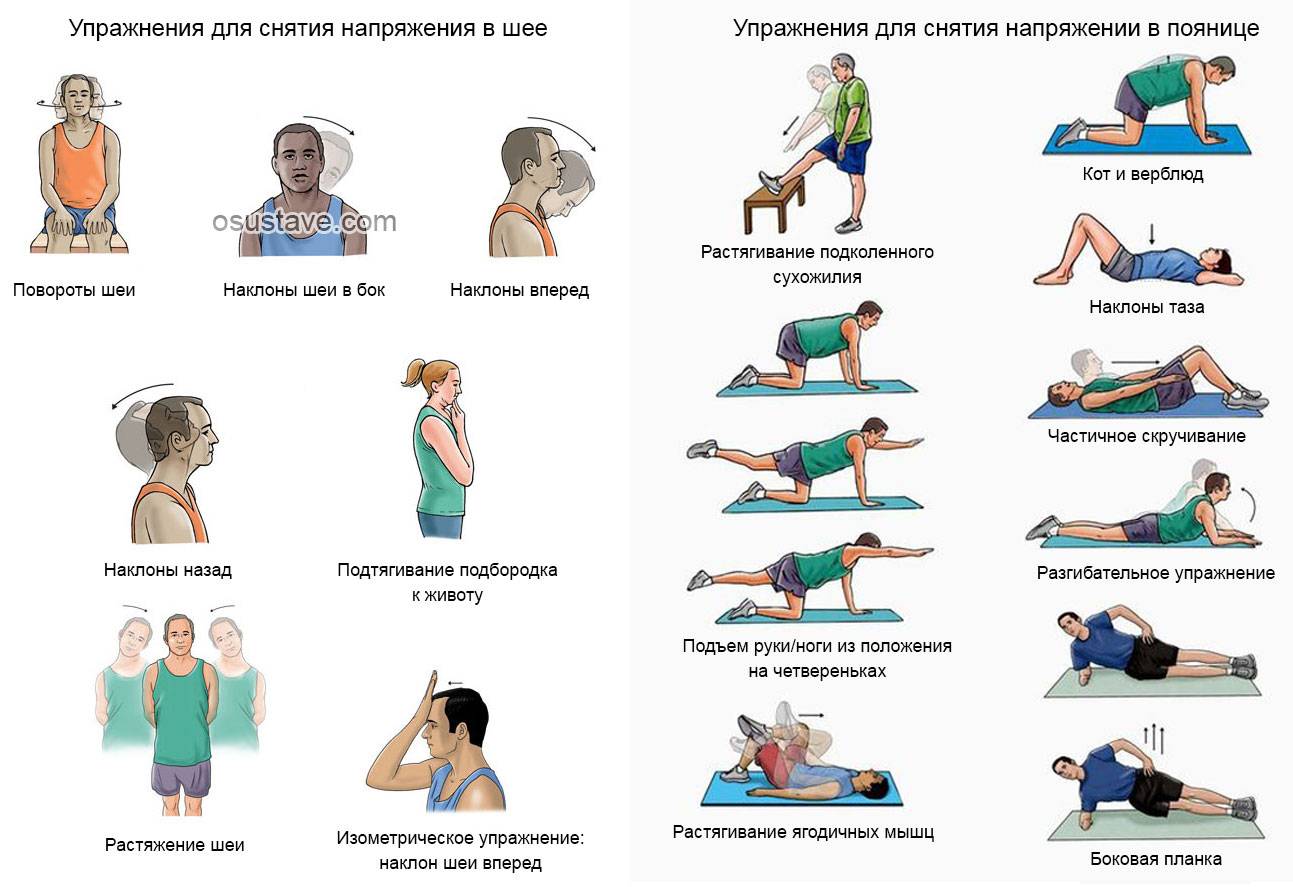 Лфк при поясничном остеохондрозе комплекс упражнений в картинках