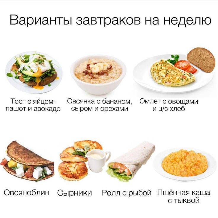 Полезные завтраки на каждый день: правильное питание, рецепты с фото и калорийностью