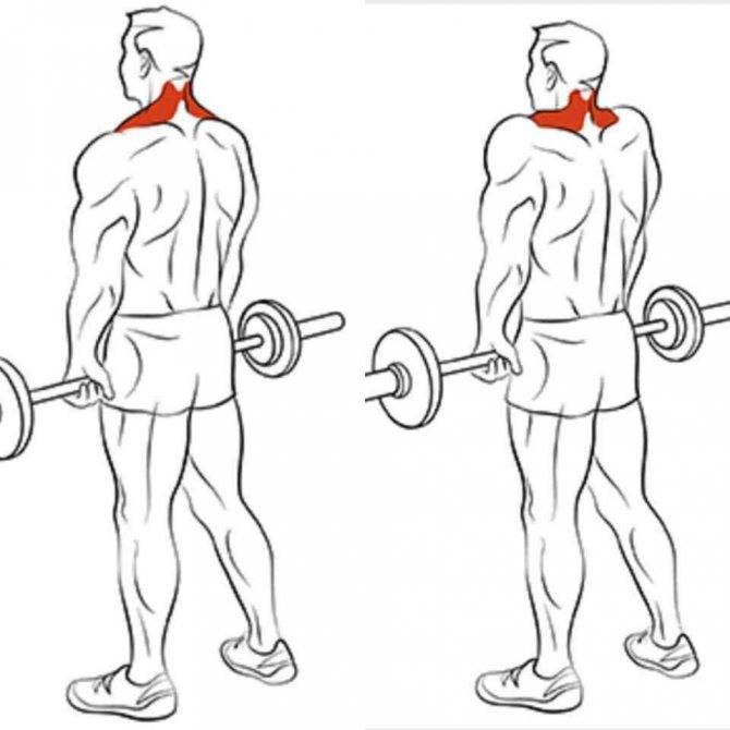 Тяга т-грифа: правильная техника, какие мышцы работают