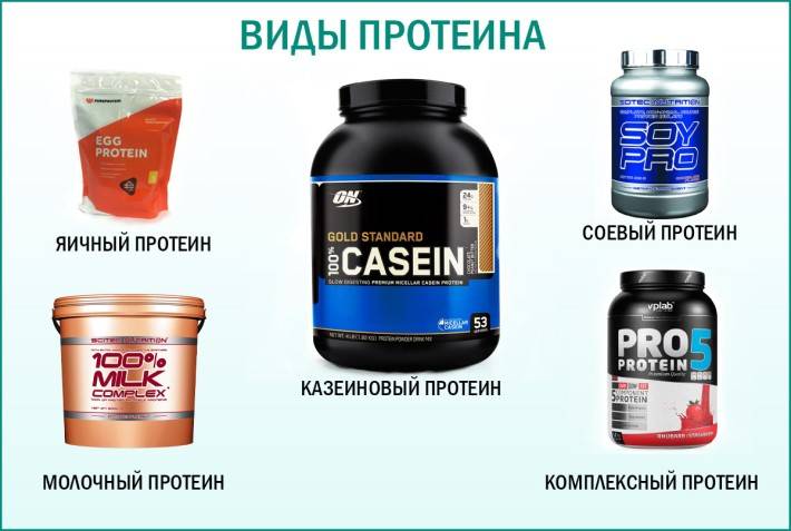 Способ применения протеина. виды протеина и цель применения - tony.ru