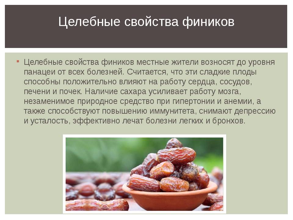 Унаби - свойства ягод дерева зизифуса, выращивание, рецепты приготовления