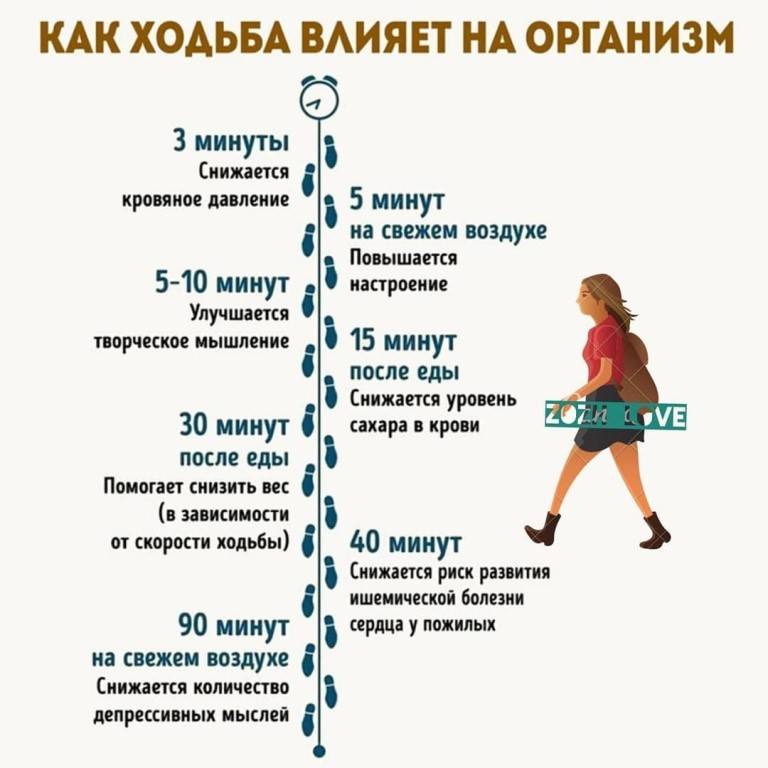 Сколько километров в день нужно ходить пешком, чтобы похудеть | зачем нужно гулять каждый день