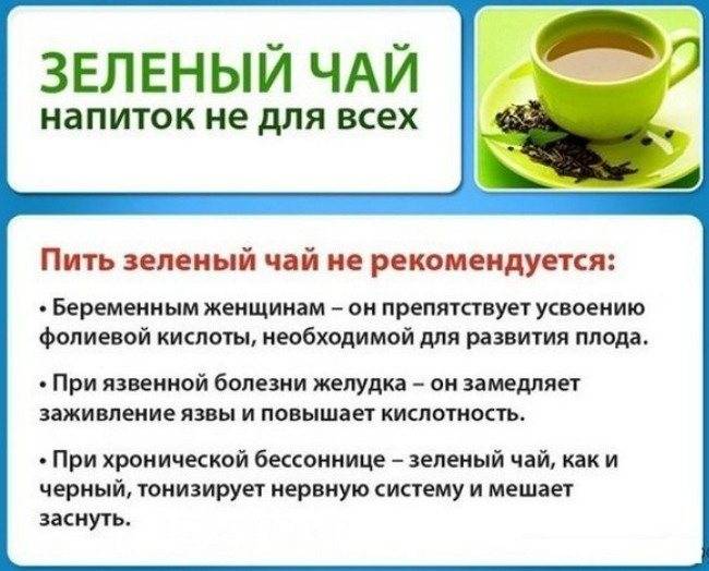 Экстракт зелёного чая защищает от рака и продлевает жизнь