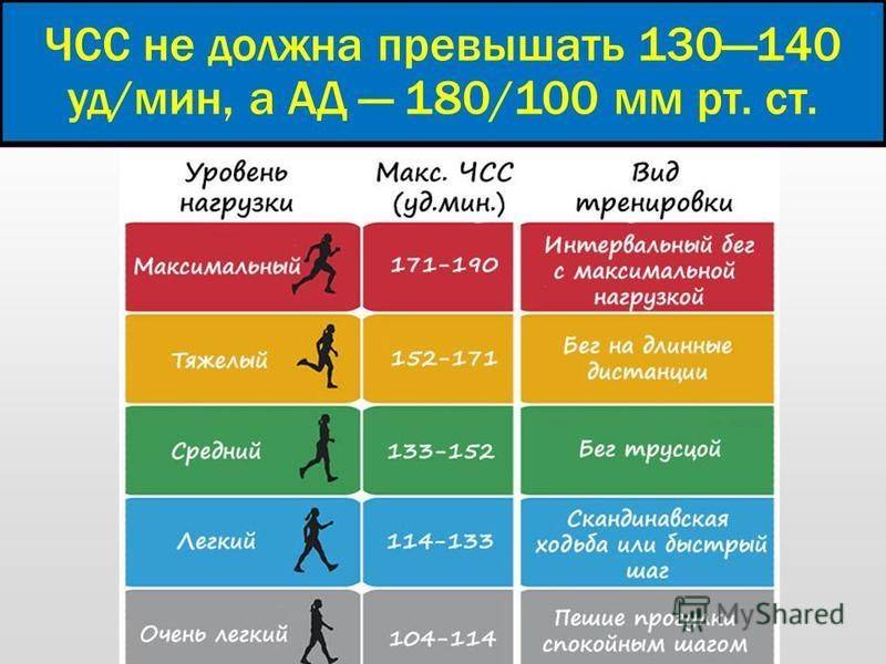 Пульс при беге: какой должна быть, норма чсс, зоны и бег на низком пульсе