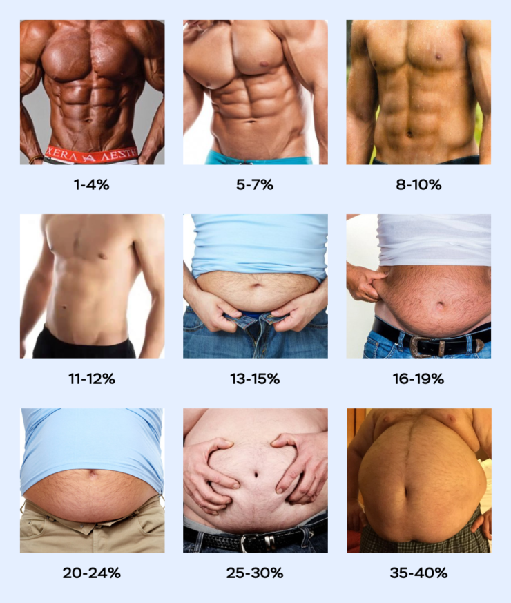Процент жира в организме: как узнать его количество и норму в теле самостоятельно?