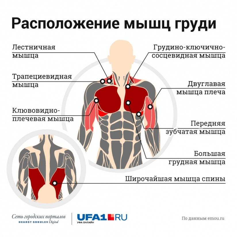 Как накачать грудные мышцы | strong life