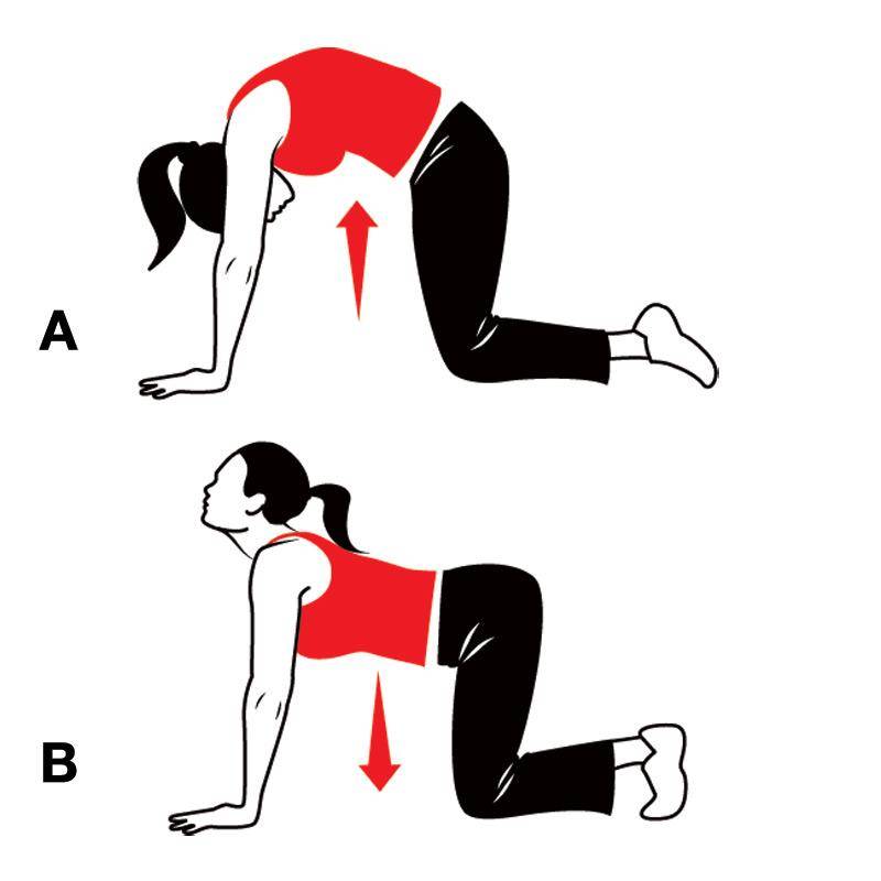 Упражнения для спины с гантелями в домашних условиях для женщин и мужчин