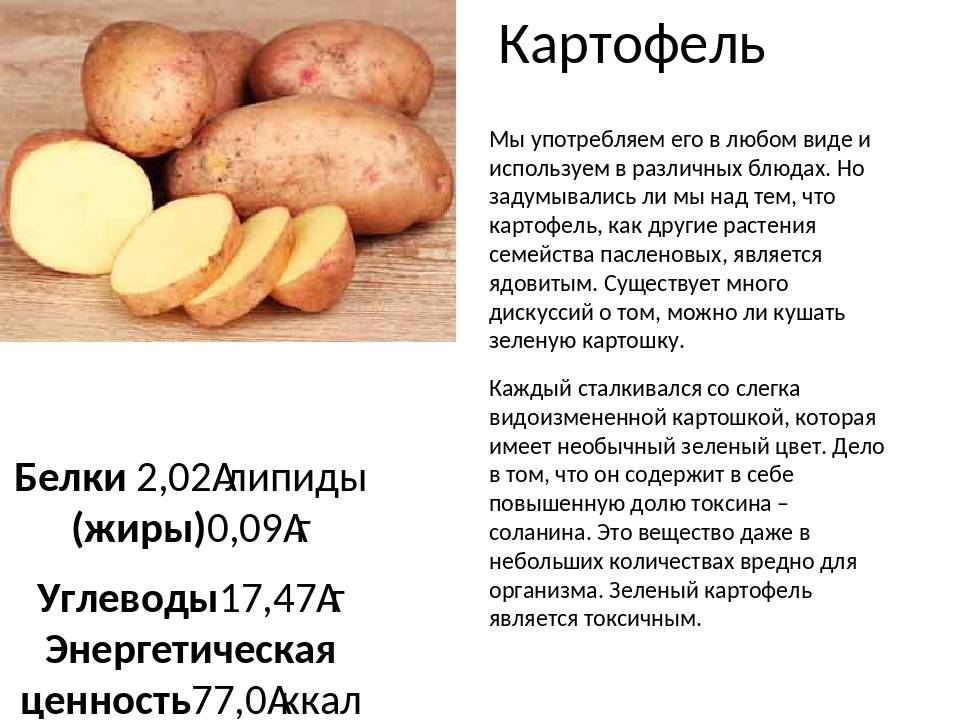 Картофель — калорийность (сколько калорий в 100 граммах)