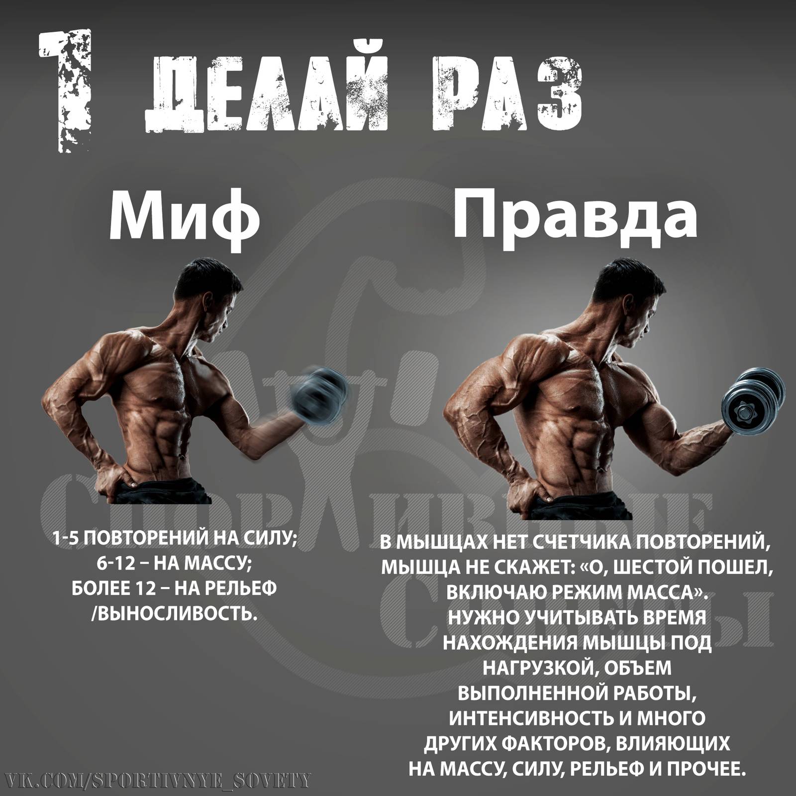 48 часов тишины: как правильно делать многоповторные упражнения