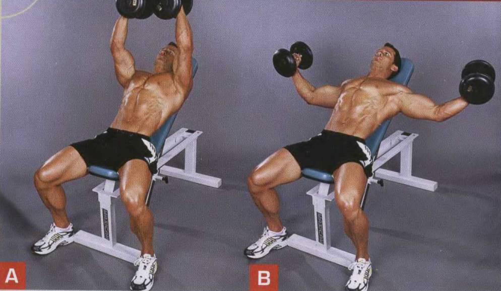 Как накачать нижнюю часть грудных мышц: эффективная тренировка