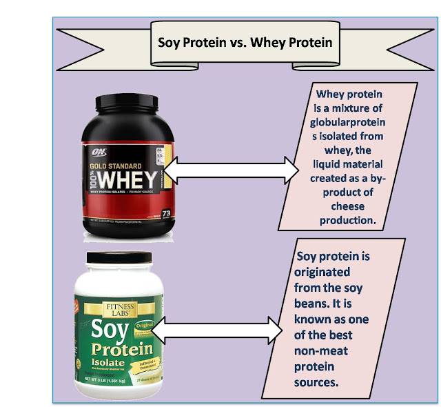 Какой соевый протеин купить - плюсы и минусы при похудении