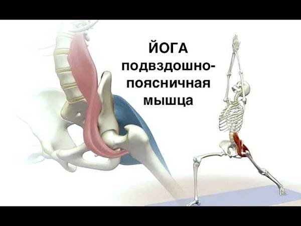 Синдром подвздошно-поясничной мышцы - упражнения, растяжка, релаксация | smartyoga: йога для здоровья и йогатерапия в москве
