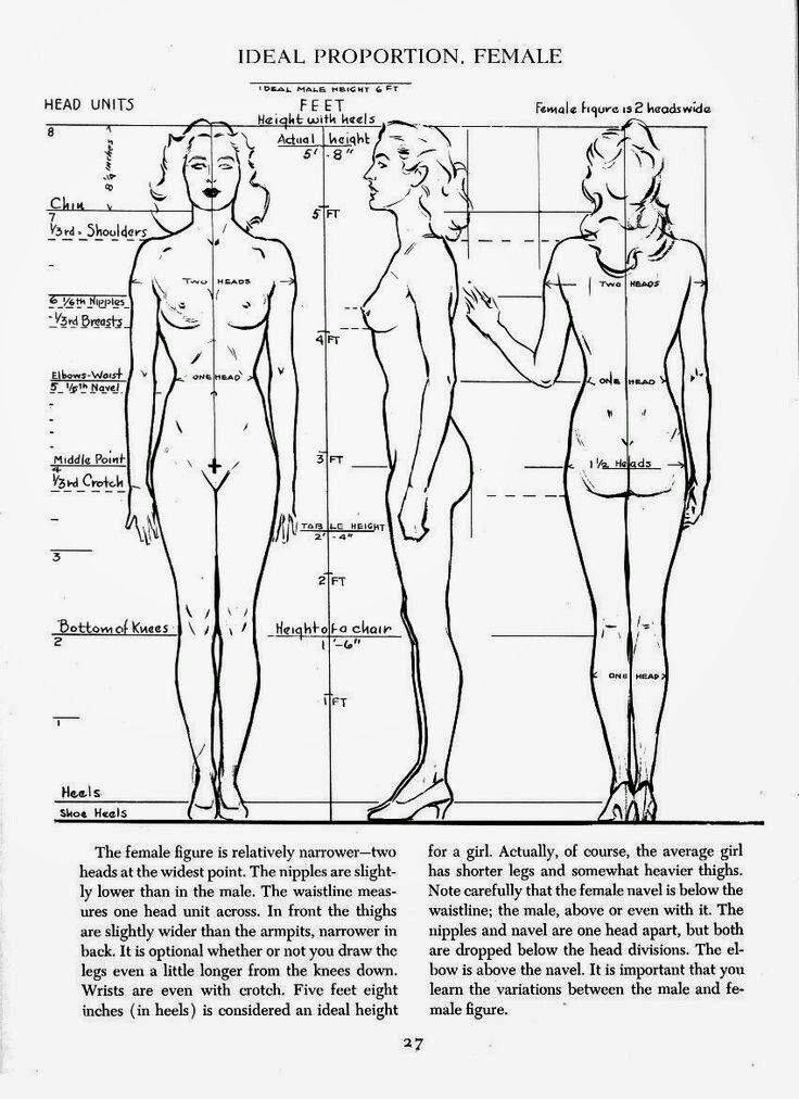 Идеальные пропорции женского тела: это какие?