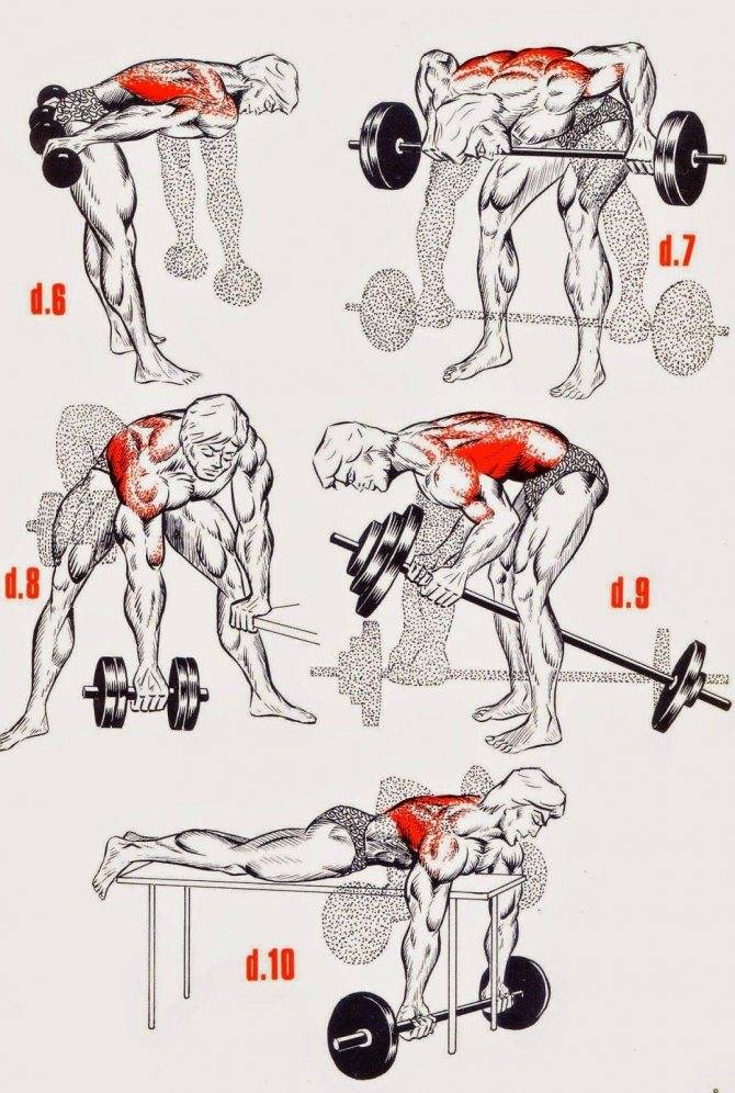 Как накачать мышцы спины в домашних условиях мужчине, упражнения с гантелями