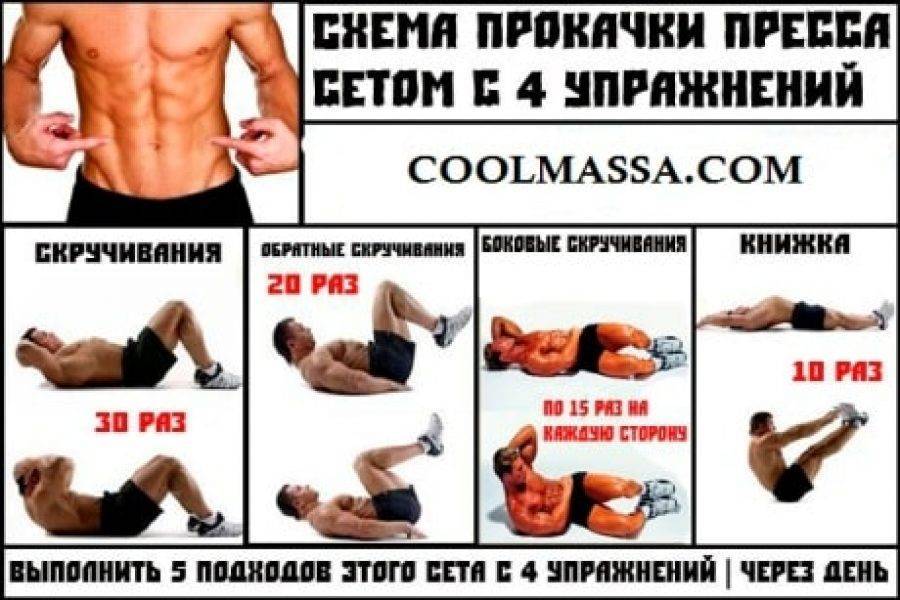 Упражнения для нижнего пресса для мужчин: подбираем эффективные нагрузки и убираем жир внизу живота