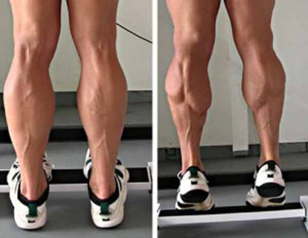 Тренировка ног: как накачать икроножные мышцы (икры ног) девушке и мужчине | rulebody.ru — правила тела