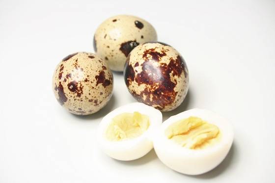 Есть ли в куриных и перепелиных яйцах холестерин? можно ли есть куриные и перепелиные яйца при повышенном холестерине, атеросклерозе и заболеваниях сердца?