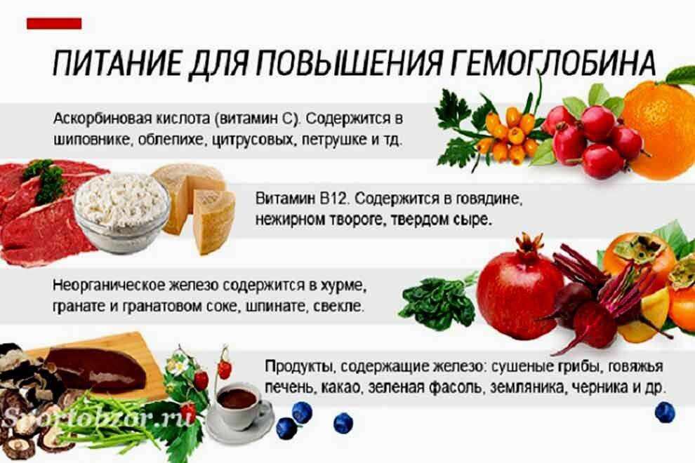 Овощи, повышающие гемоглобин | компетентно о здоровье на ilive