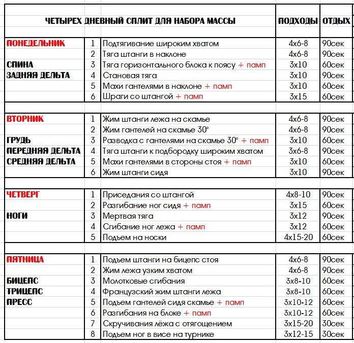 План тренировок в тренажерном зале для девушек для похудения