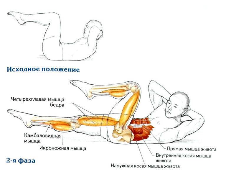 Велосипед упражнение схема