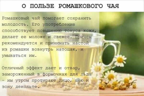 Ромашковый чай для похудения: рецепты, советы, противопоказания