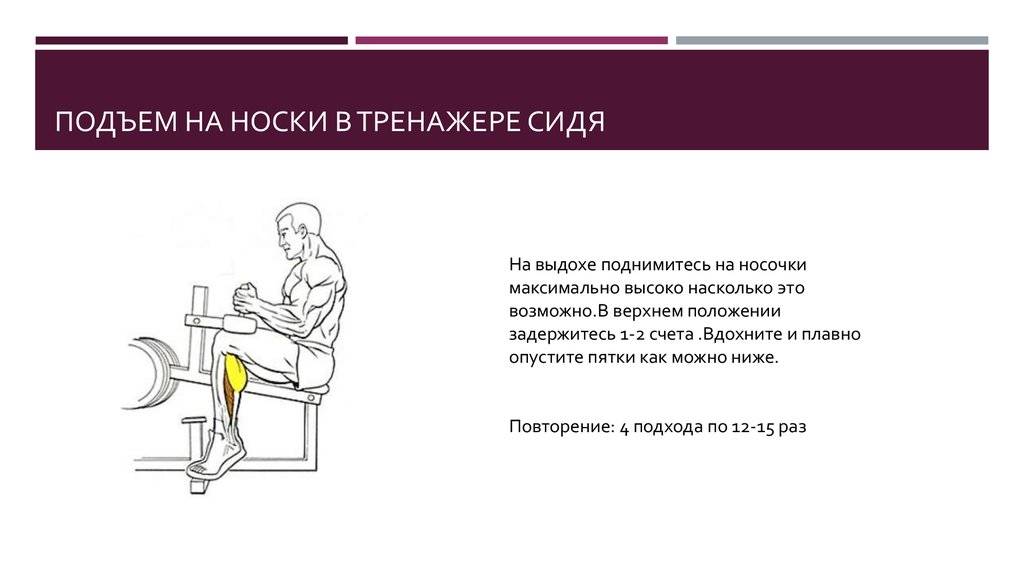 Подъем на носки стоя: описание упражнения, инструкция по выполнению - tony.ru