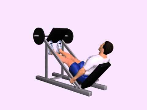 Упражнение для мышц "жим ногами": техника выполнения