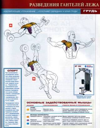 Многоповторный тренинг в бодибилдинге | musclefit