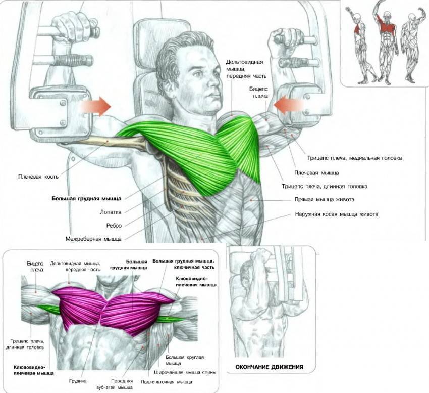 Как накачать грудные мышцы в домашних условиях мужчине гентелями, без железа, отжиманиями