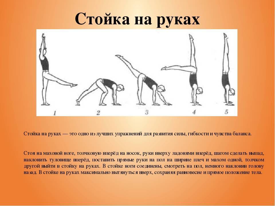 Упражнения в гимнастике названия с картинками