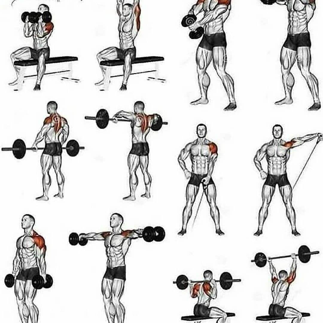 Как правильно качать мышцы плеча?