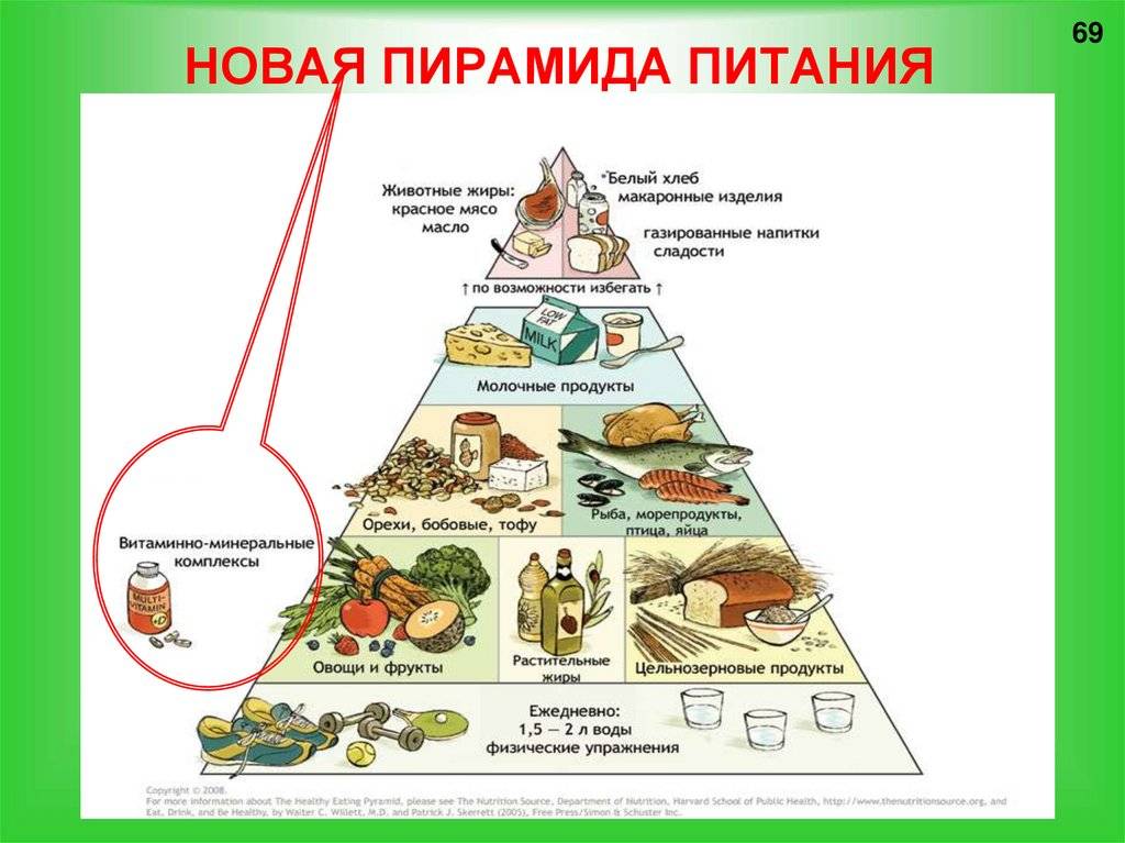 Рацион питания человека. Пирамида питания здорового человека воз. Гарвардская пирамида правильного питания. Пищевая пирамида США. Схема питания пищевая пирамида.