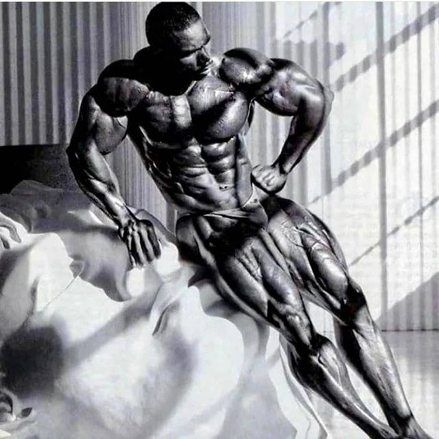 Flex Wheeler спина