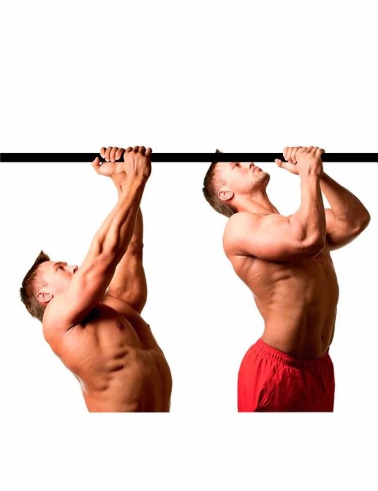 Как накачать мышцы спины эффективно и быстро в зале и дома, лучшие упражнения и подборка программ тренировок