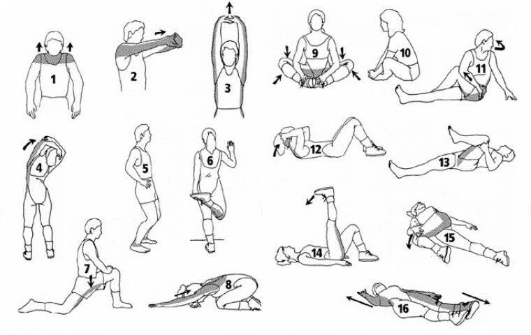 Разминка перед силовой тренировкой в зале — комплекс для активации мышц