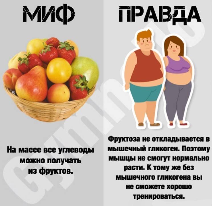 Как развивается категория лечебного питания в россии и мире