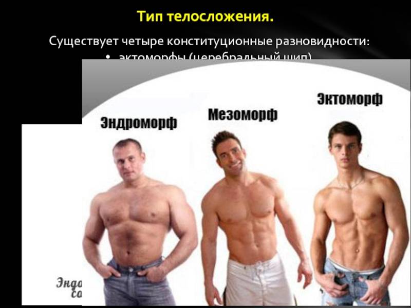 Типы телосложения, как определить тип телосложения